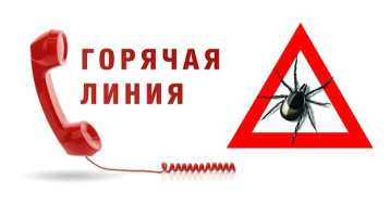 О работе «горячей линии» по профилактике клещевого вирусного энцефалита О работе «горячей линии» по профилактике клещевого вирусного энцефалита.